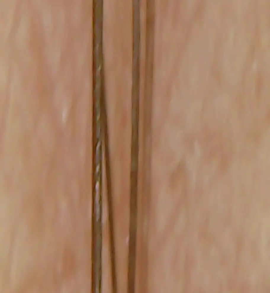 Foto macro