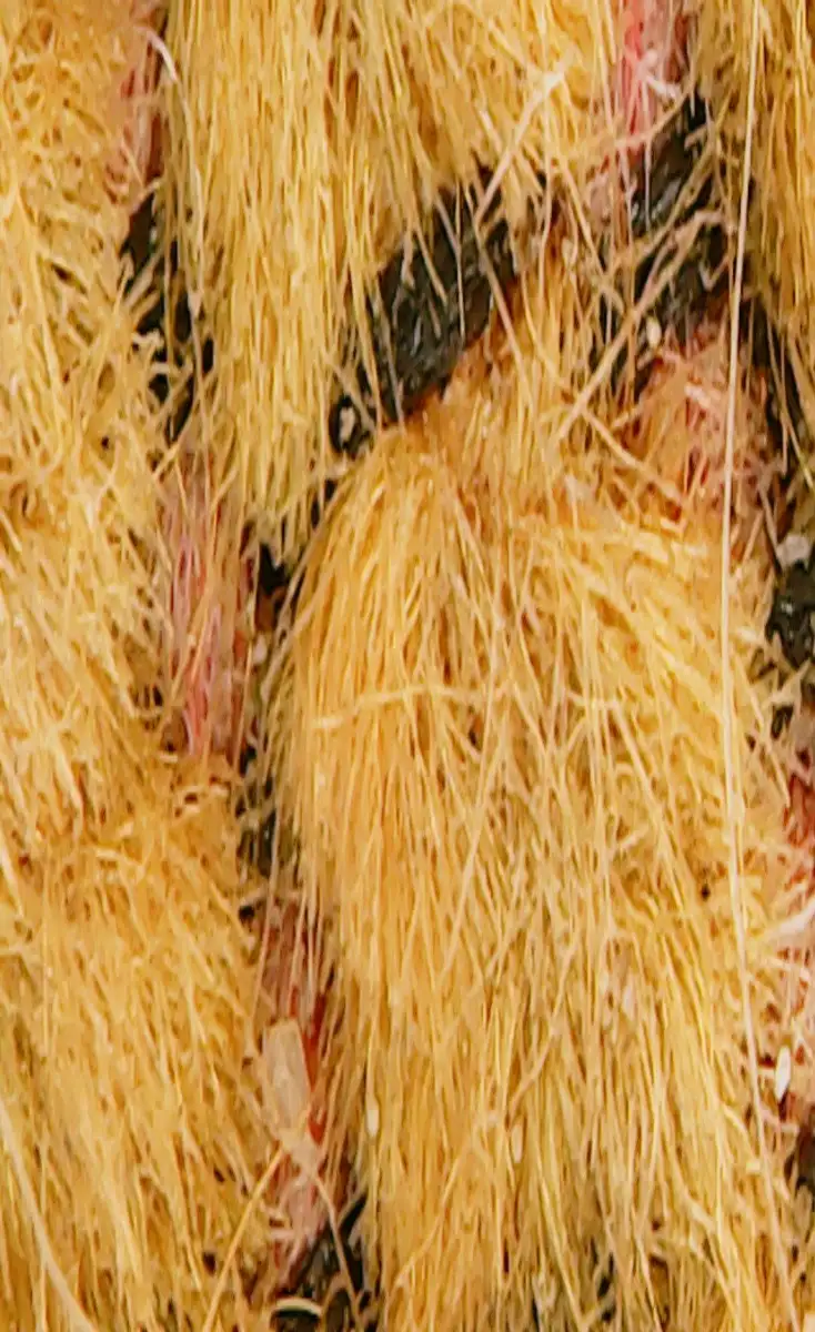 Foto macro